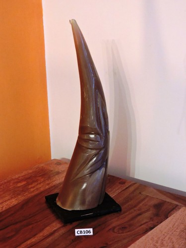 Corno bue africano originale - bue,