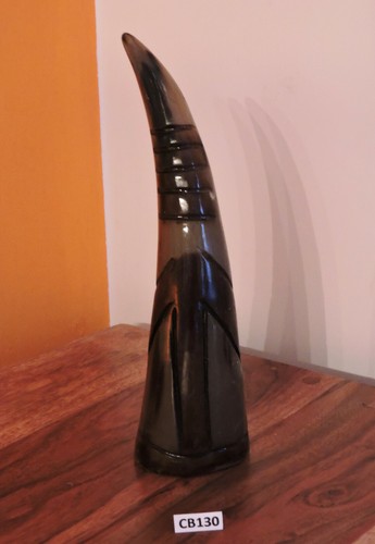 Corno bue africano originale - corno,