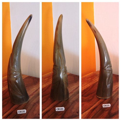 Corno bue africano originale - corno,